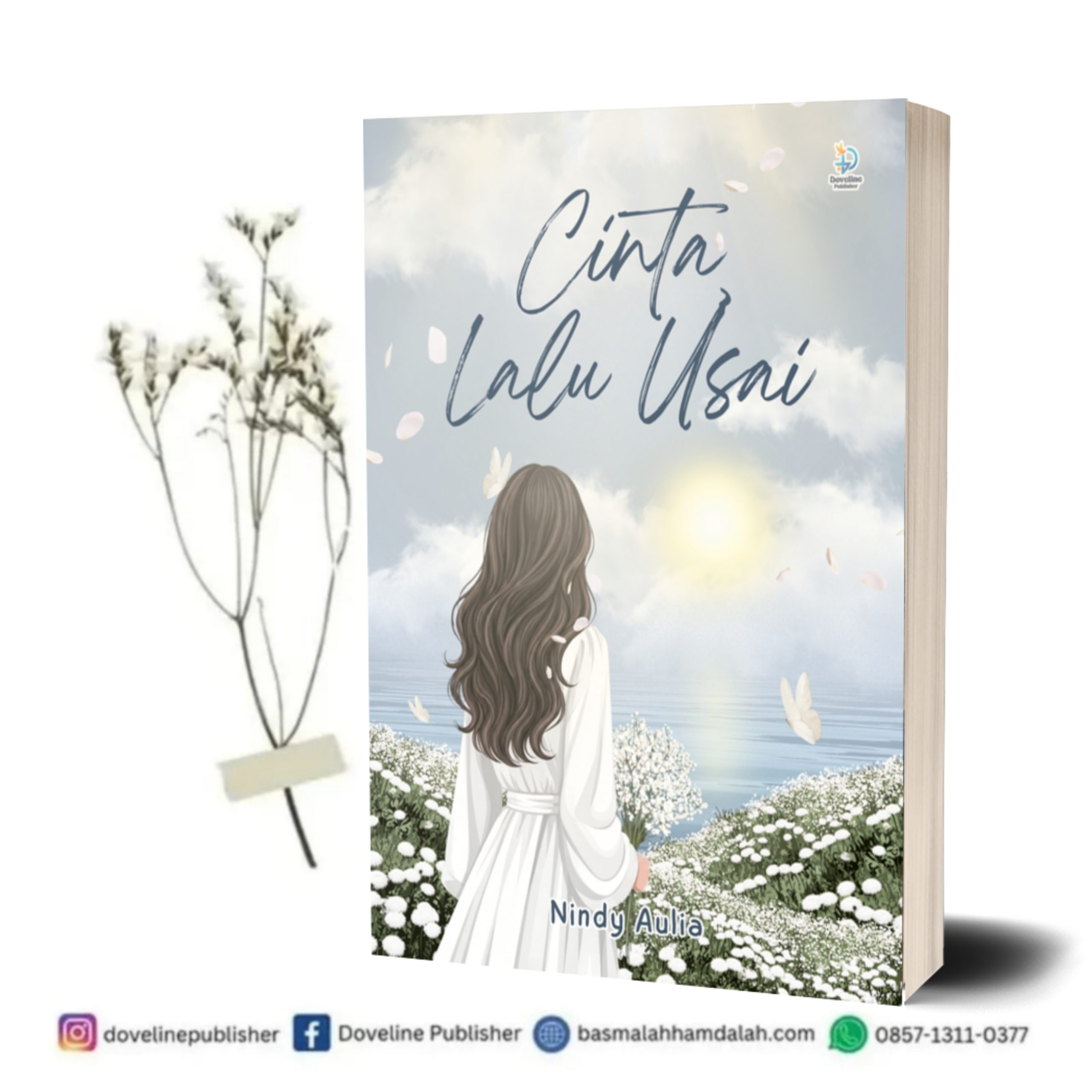 Cinta, Lalu Usai