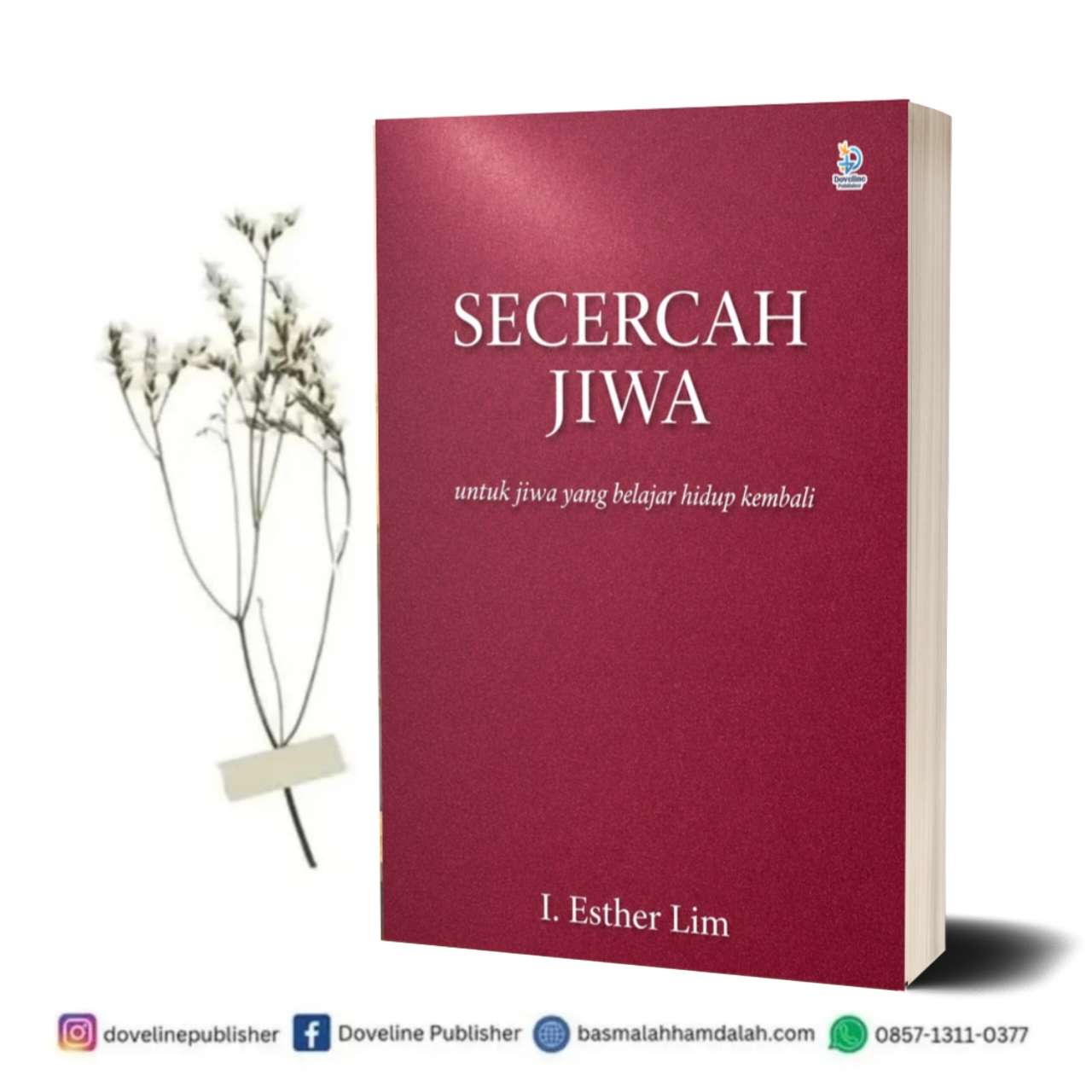 Secercah Jiwa